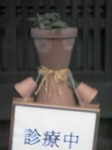 dendoro-2.jpg